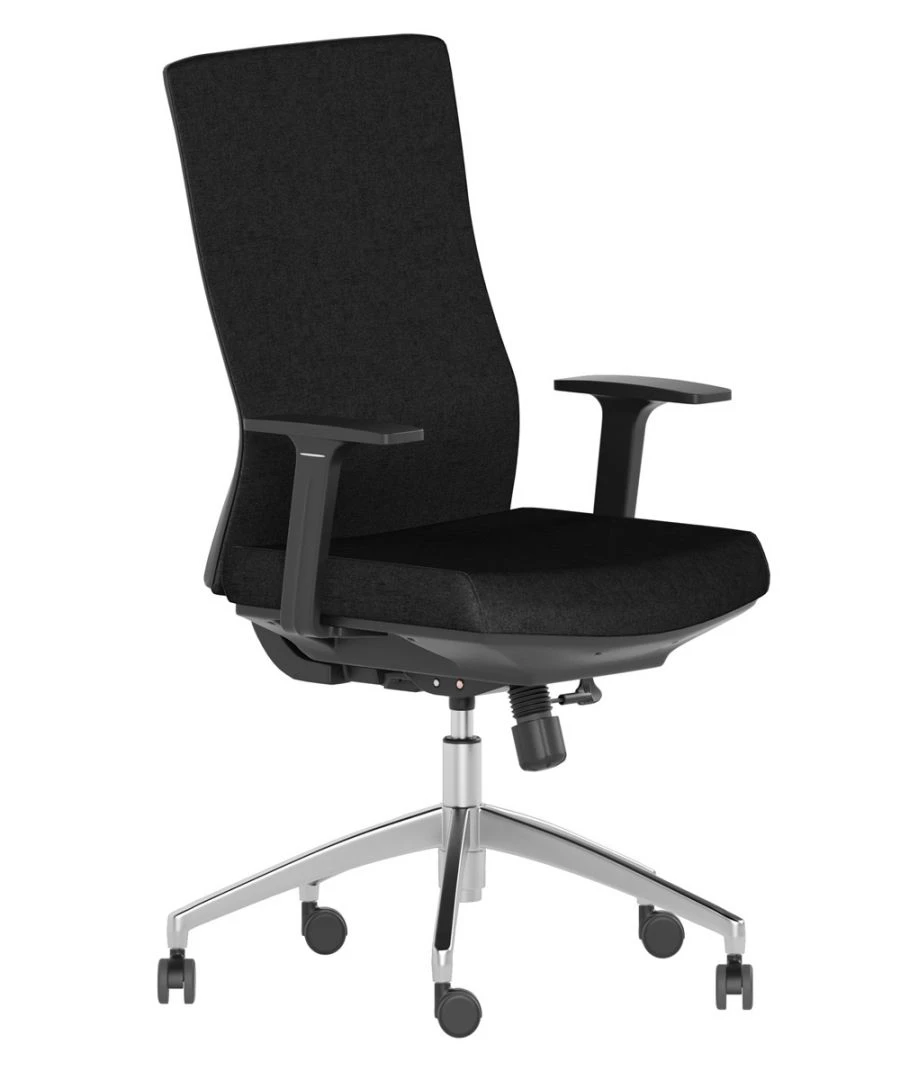 Tesla B30 Ergonomic Chair