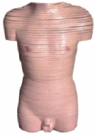 Male Body Model with Cross Sections 30002