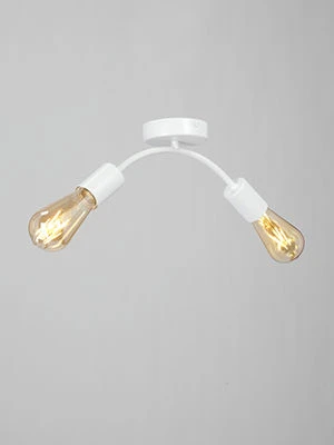 General Purpose Stationary Light Fixture V4989-0/2PL