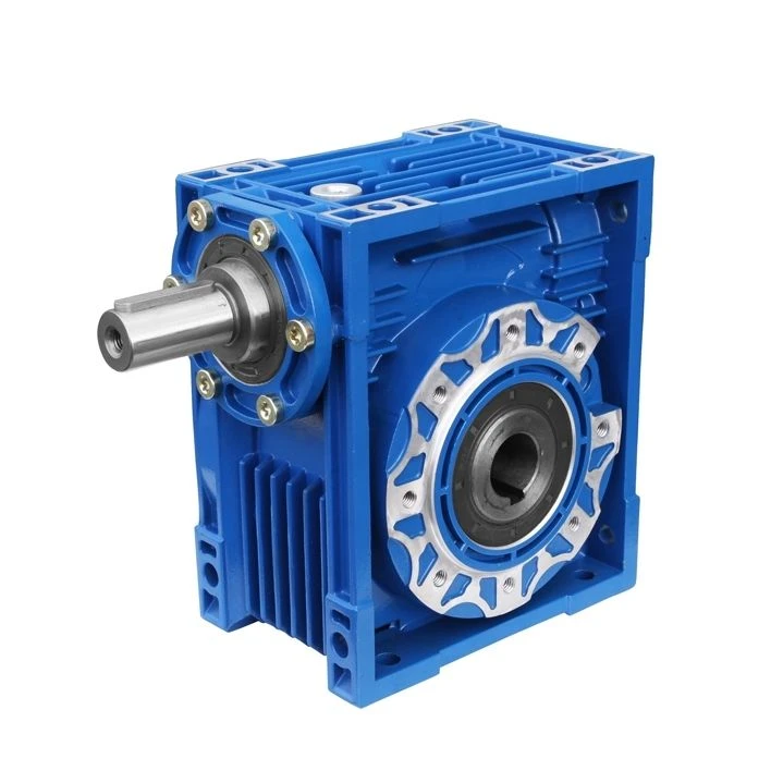 Worm Gear Reducer and Motor-Reducer