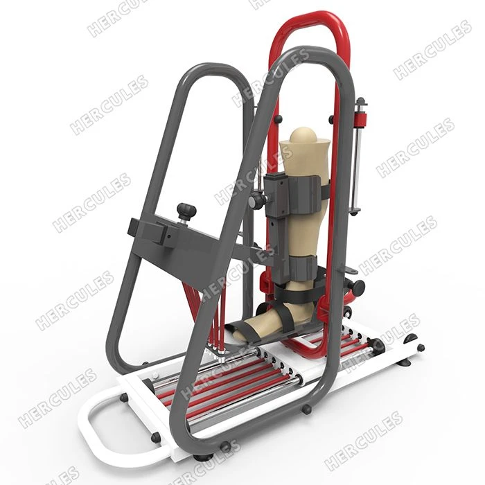 Ankle Development Trainer Model 1.1