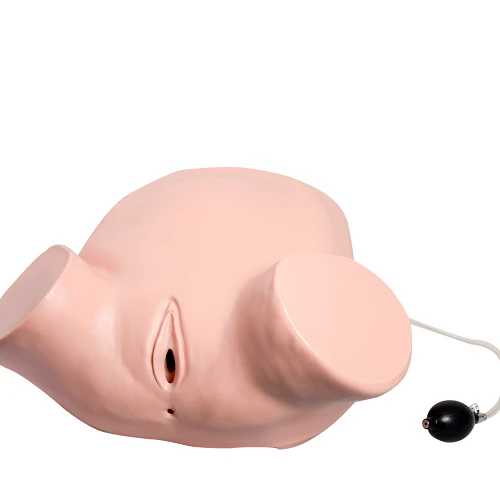 نموذج الفحص الشرجى والمهبلى الواقعي، GP6638