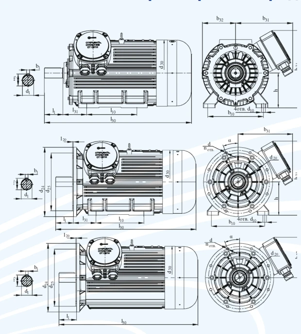 Explosion-Proof Asynchronous Electric Motors DW 315, over 75 kW