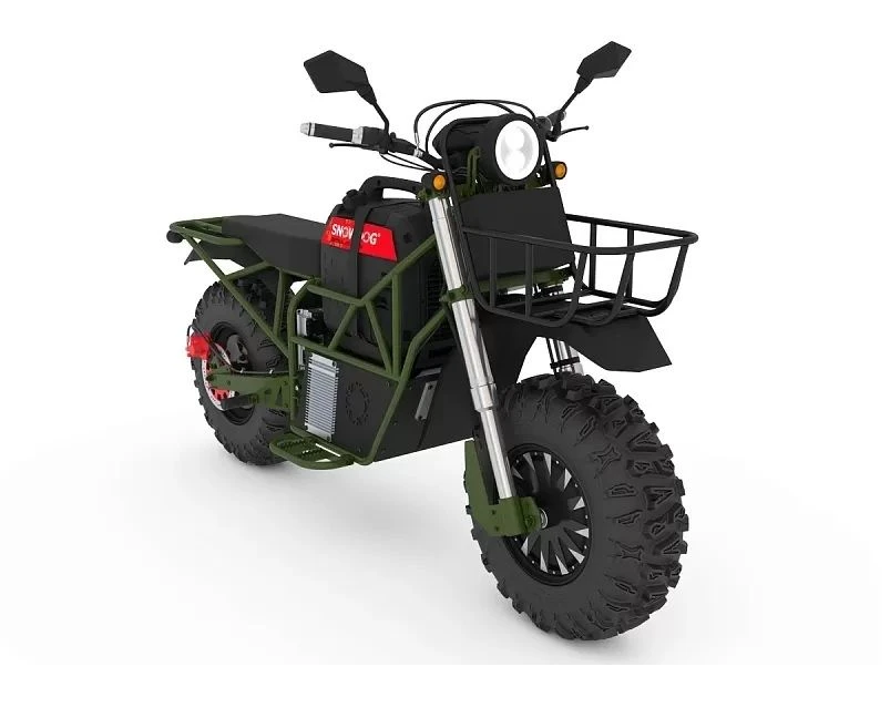 Electric Motorcycle - Eco-Friendly Commuter Model