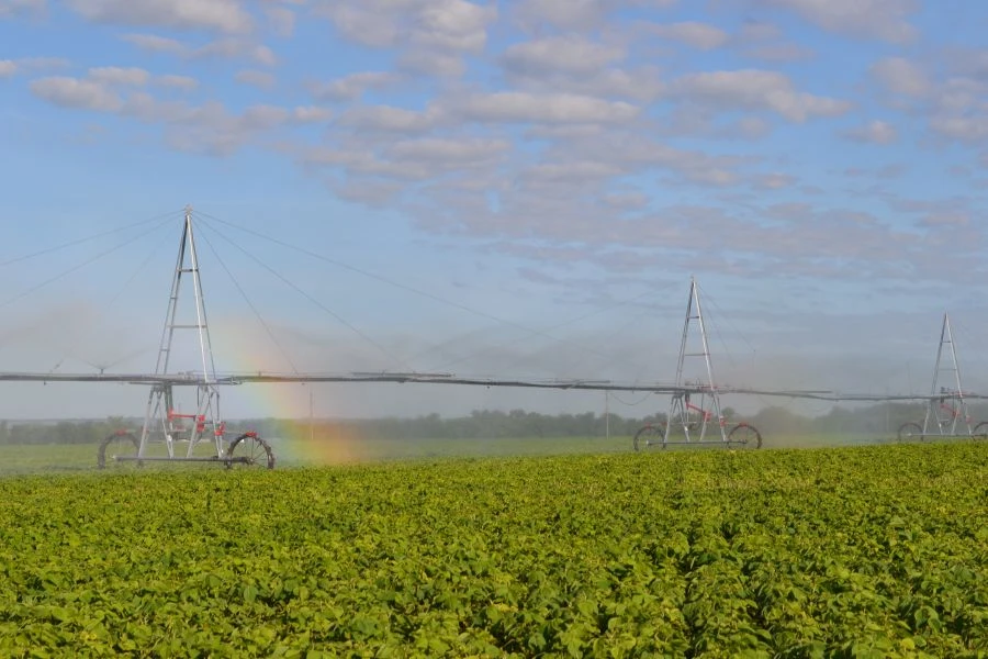 آلة الري "كورت" تعديل DMUM-8A-229