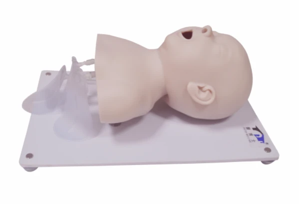 Advanced Pediatric Endotracheal Intubation Model FA6247