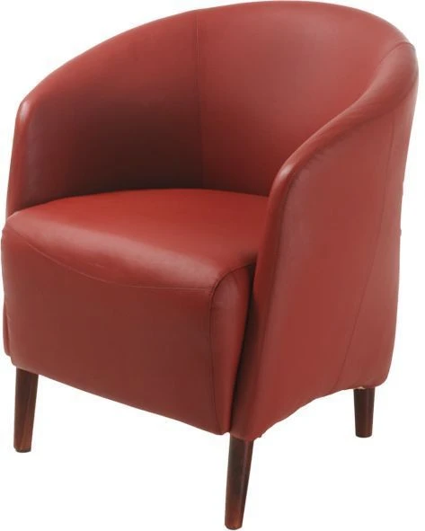 Ergonomic Chair Erika - Comfort and Support for Long Hours