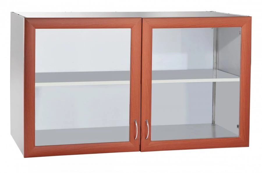 Wall Shelf with Swing Doors for Kitchen Storage PNR-2D