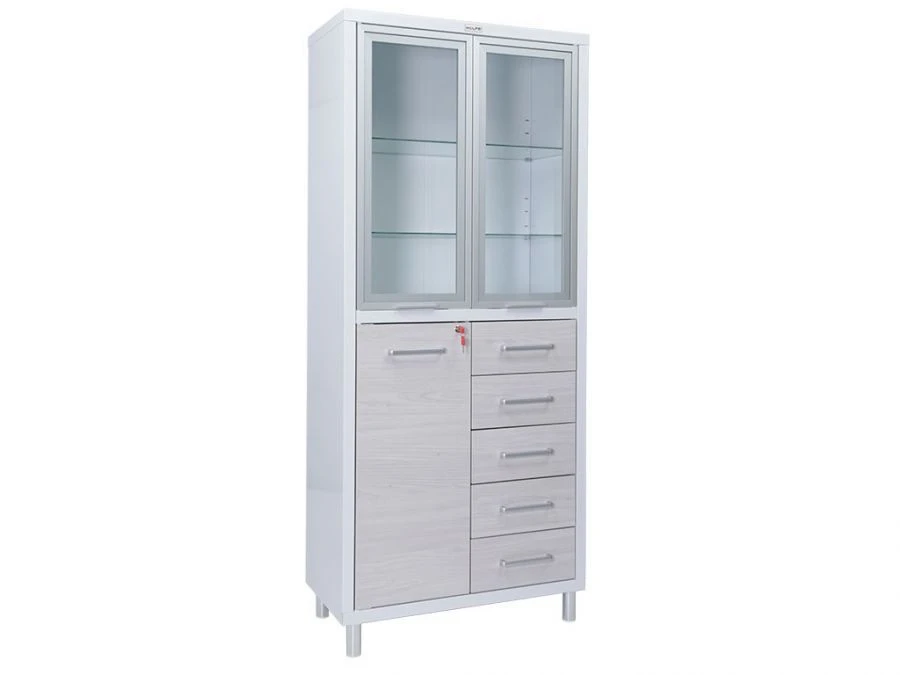 Medical Storage Cabinet MD 2 SHM-SSK