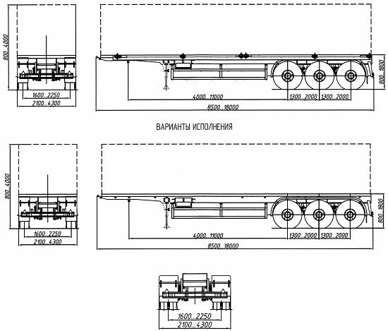 Cargo Semi-Trailer Container Carrier 4589RA for Hazardous Goods
