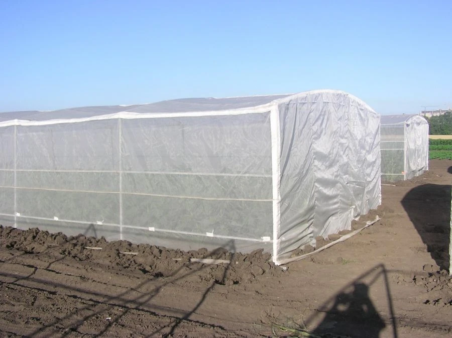 Custom Mesh Tents for Seed Production