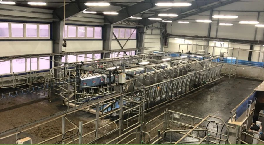 Parallel Milking System for Livestock - SCR Technology