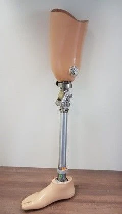 Therapeutic Training Hip Prosthesis