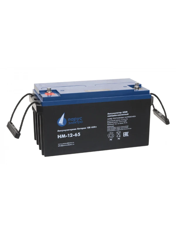 AGM Lead Acid Battery HM-12-65