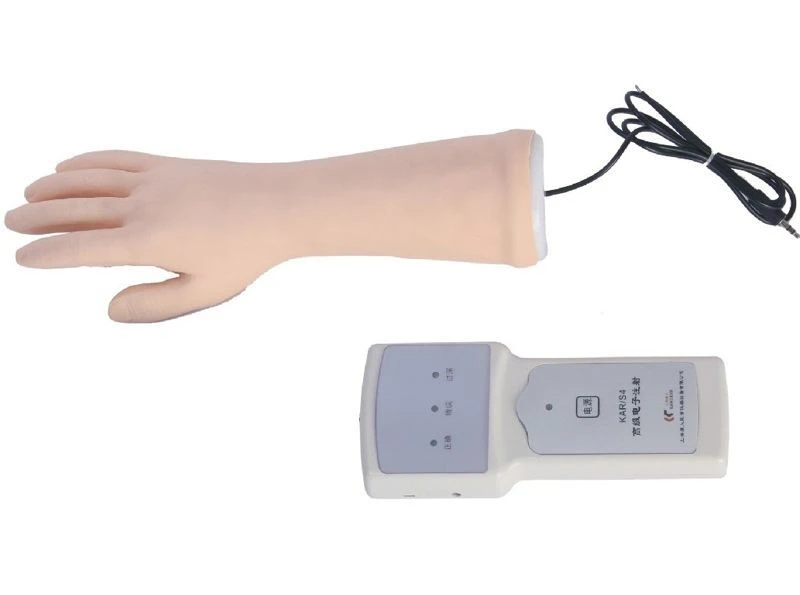 Anatomical Hand Training Model for IV Injection Practice, S4