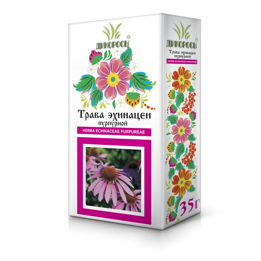 عشبة إchinacea Purpurea - دعم المناعة ومضاد للالتهابات