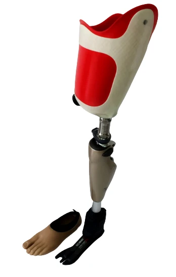 Modular Hip Prosthesis with External Power Source PN6-M-VIE