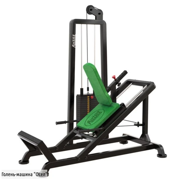 آلة الساق "الحمار