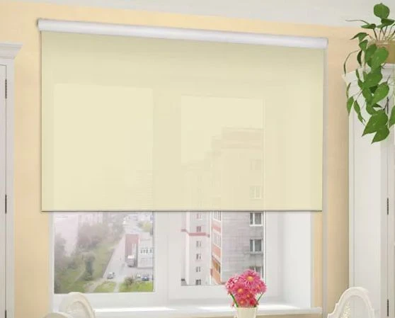 Custom Grande Box Roller Blinds for Large Windows