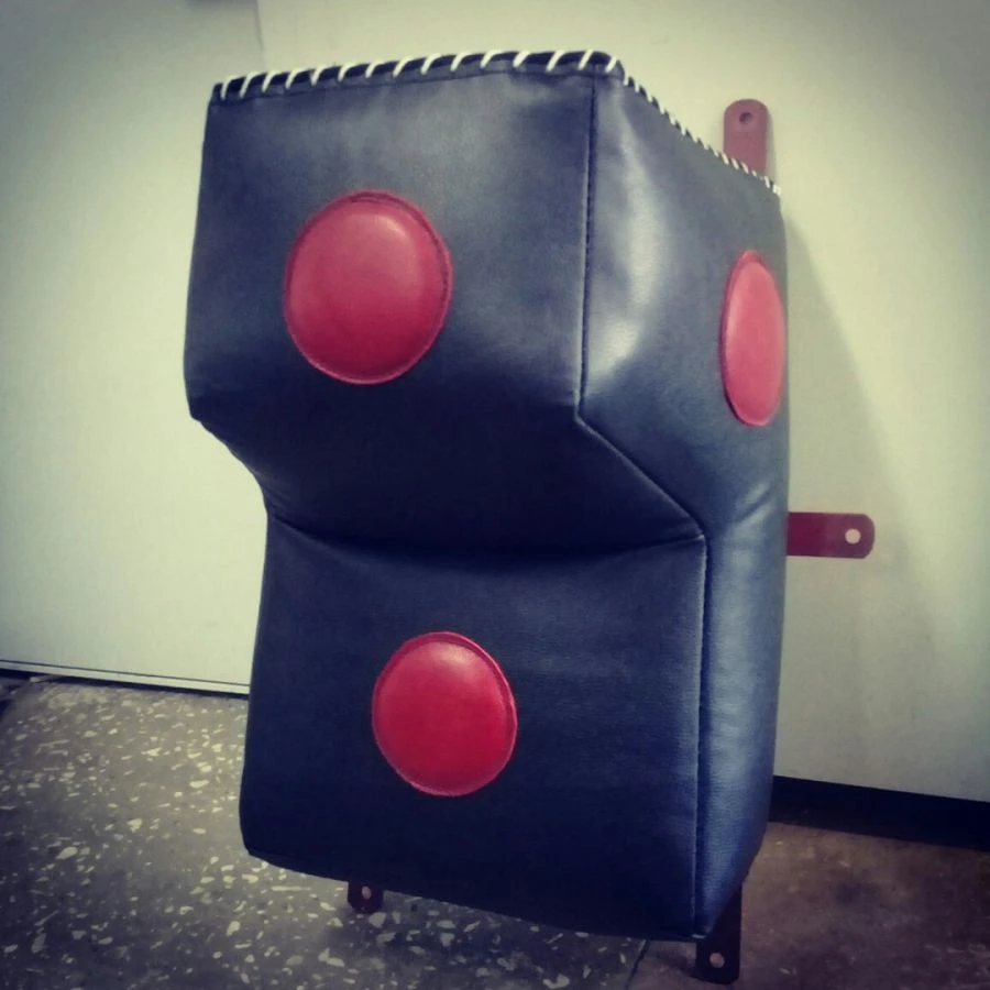 Wall-Mounted Boxing Pad for Training