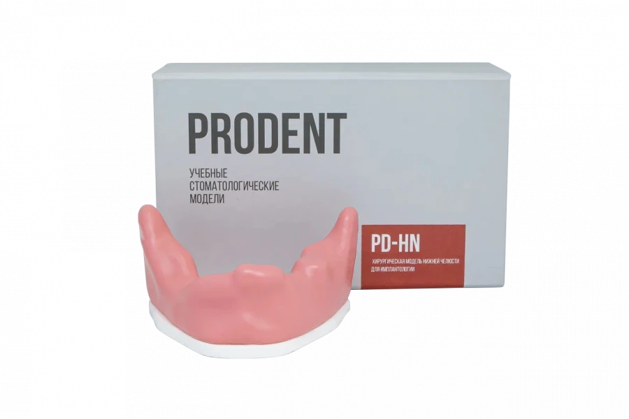 Dental Model for Surgical Training - Edentulous Lower Jaw PD-HN