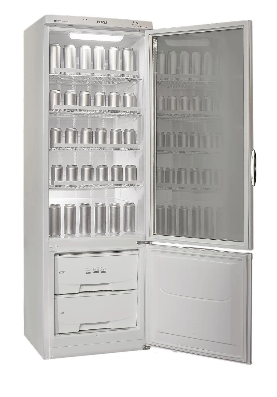 Two-Chamber Household Refrigerator POZIS RK-254