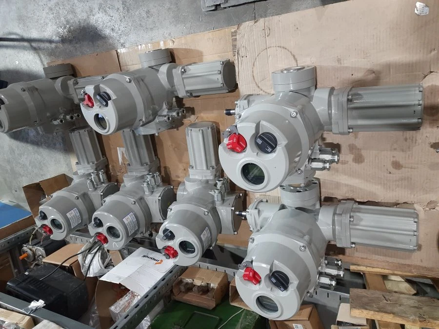 Multi-Turn Electric Actuator BIRS 15.5