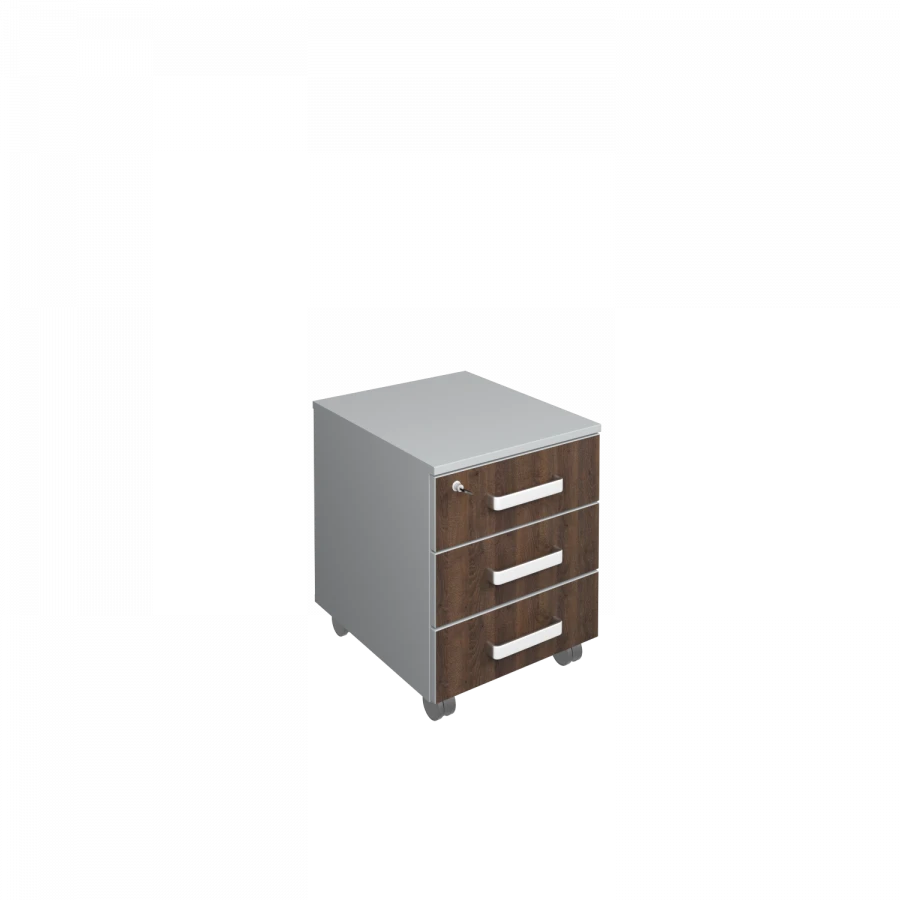 خزانة متنقلة مع قفل "ليدر.1" 110.1