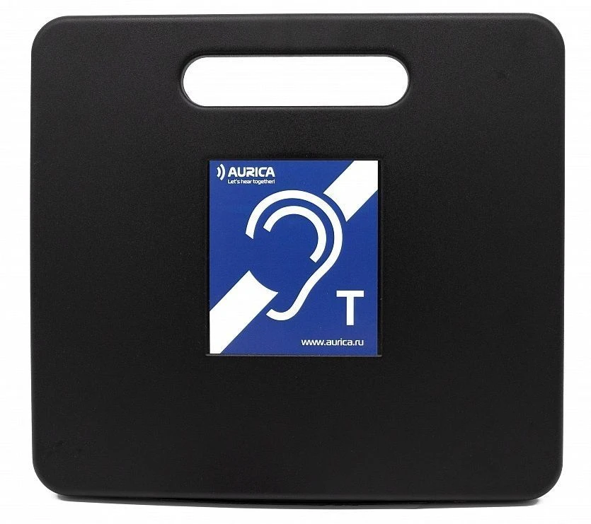 Portable Induction System Aurica P-NF Version 1