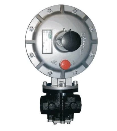 Dival 500 Direct Action Gas Pressure Regulator