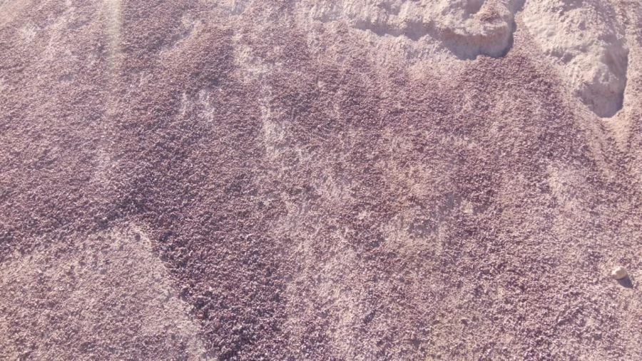 Crushed coarse class II sand for road construction