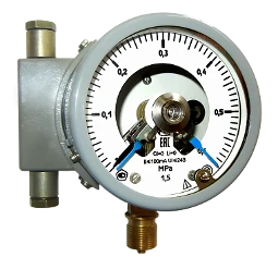 Vacuum Pressure Gauge Model DV5010C0Ex for Non-Aggressive Media