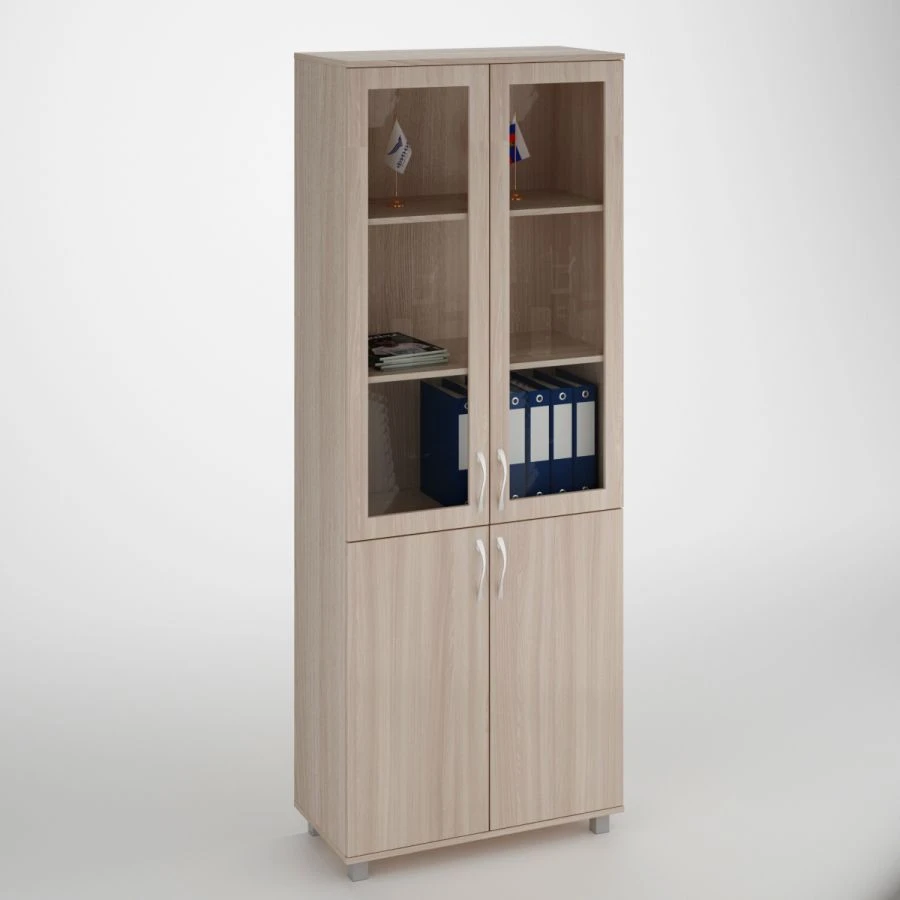 Document Cabinet with 2 Doors and Shelves (Glass)