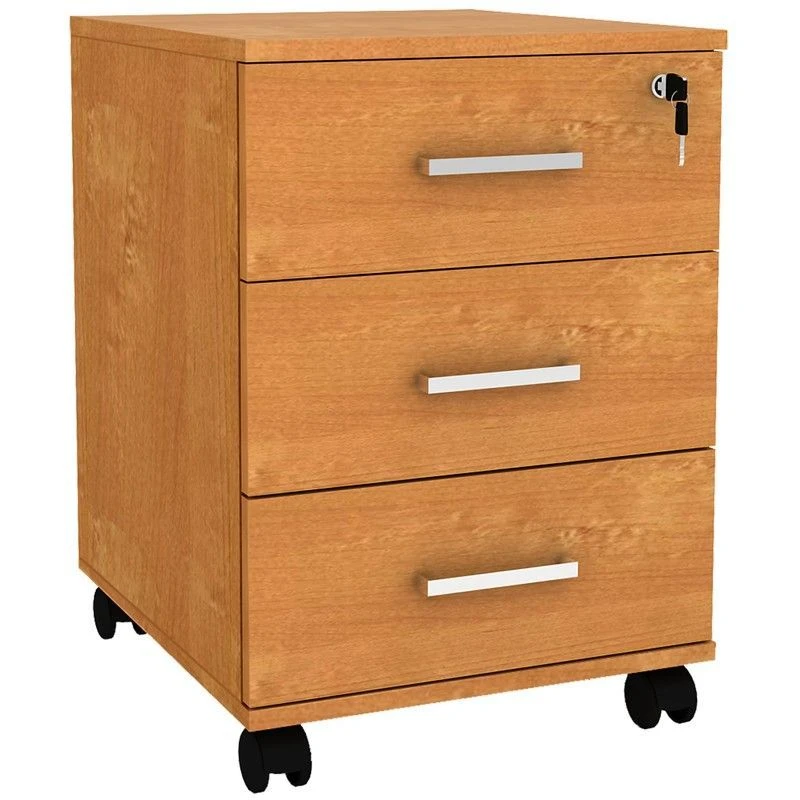 Office Storage Cabinet for Document Organization - TM "Narmada