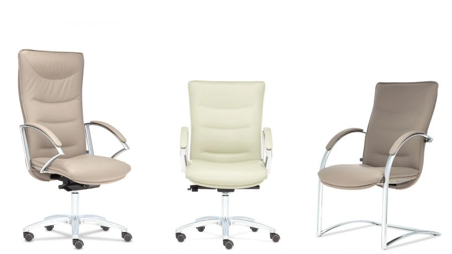 كرسي المكتب ثيودور