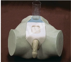 Mannequin for bladder puncture (male), 29E