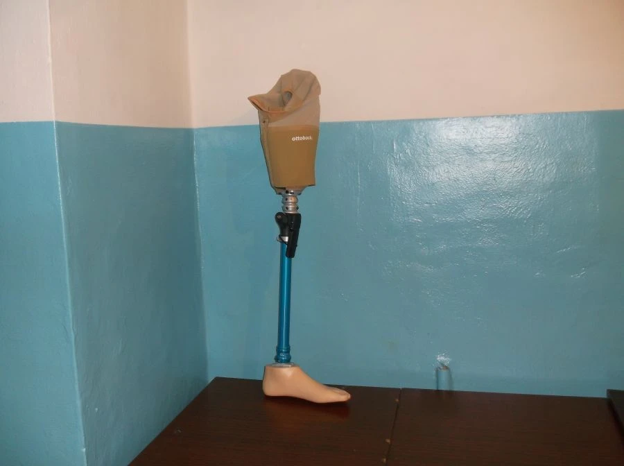 Bathing Hip Prosthesis PN6-72K