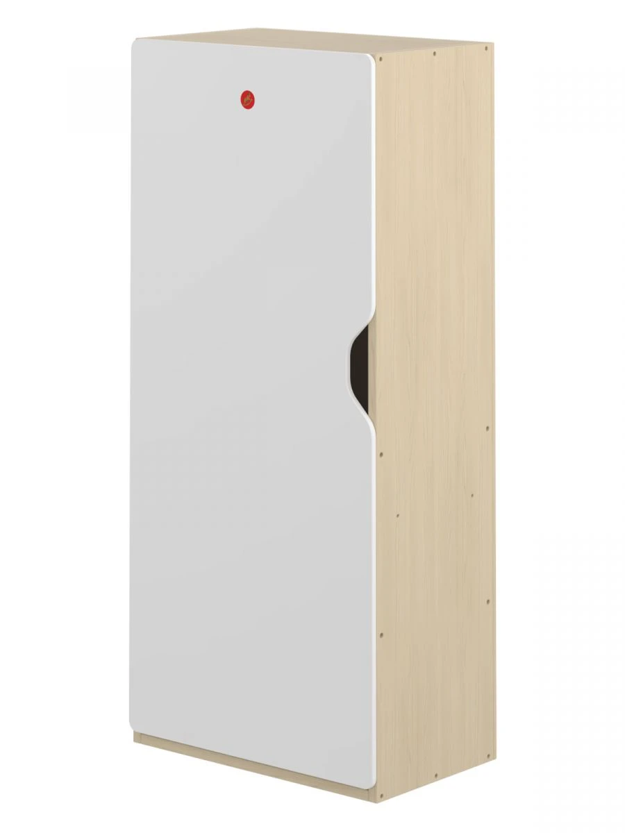 Educational Materials Storage Cabinet for Research Center