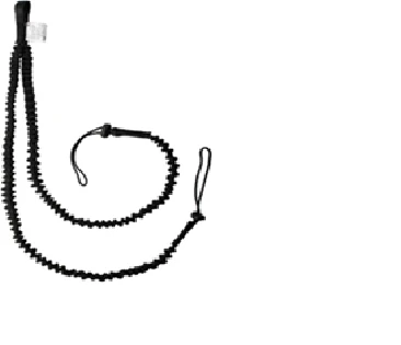 Elastic Two-Branch Strap with Loop (up to 25 kg)