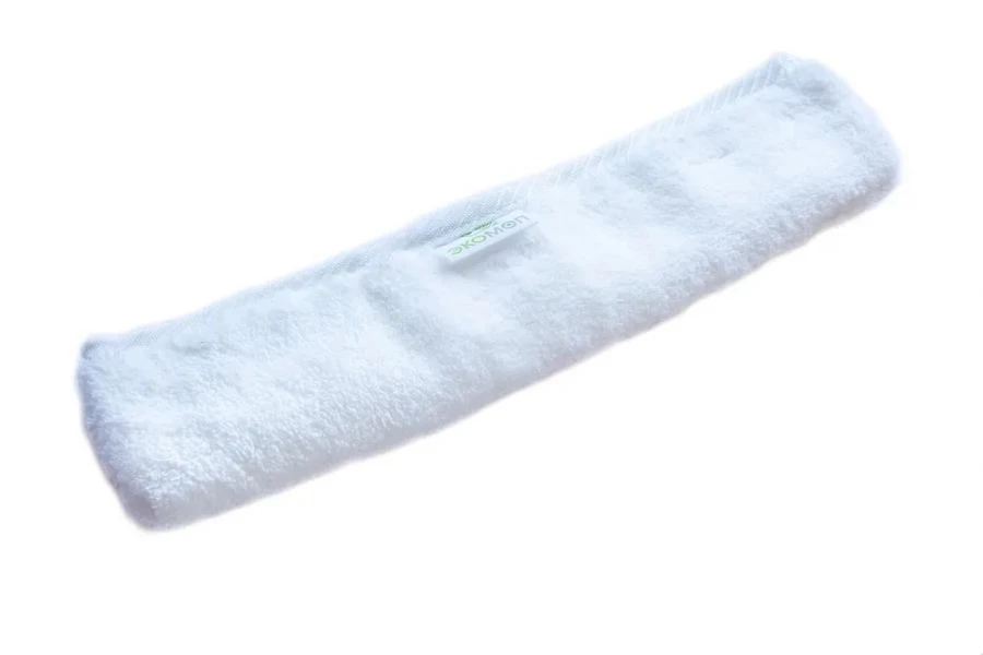 Window Cleaning Mop 25 cm