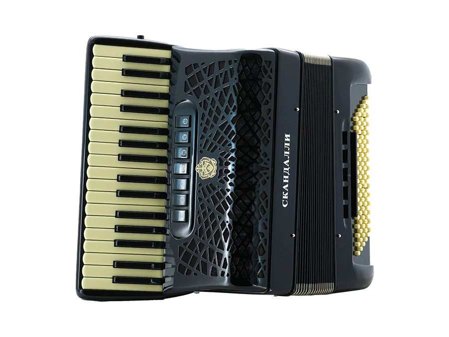 Accordion Musical Instrument R 342 J