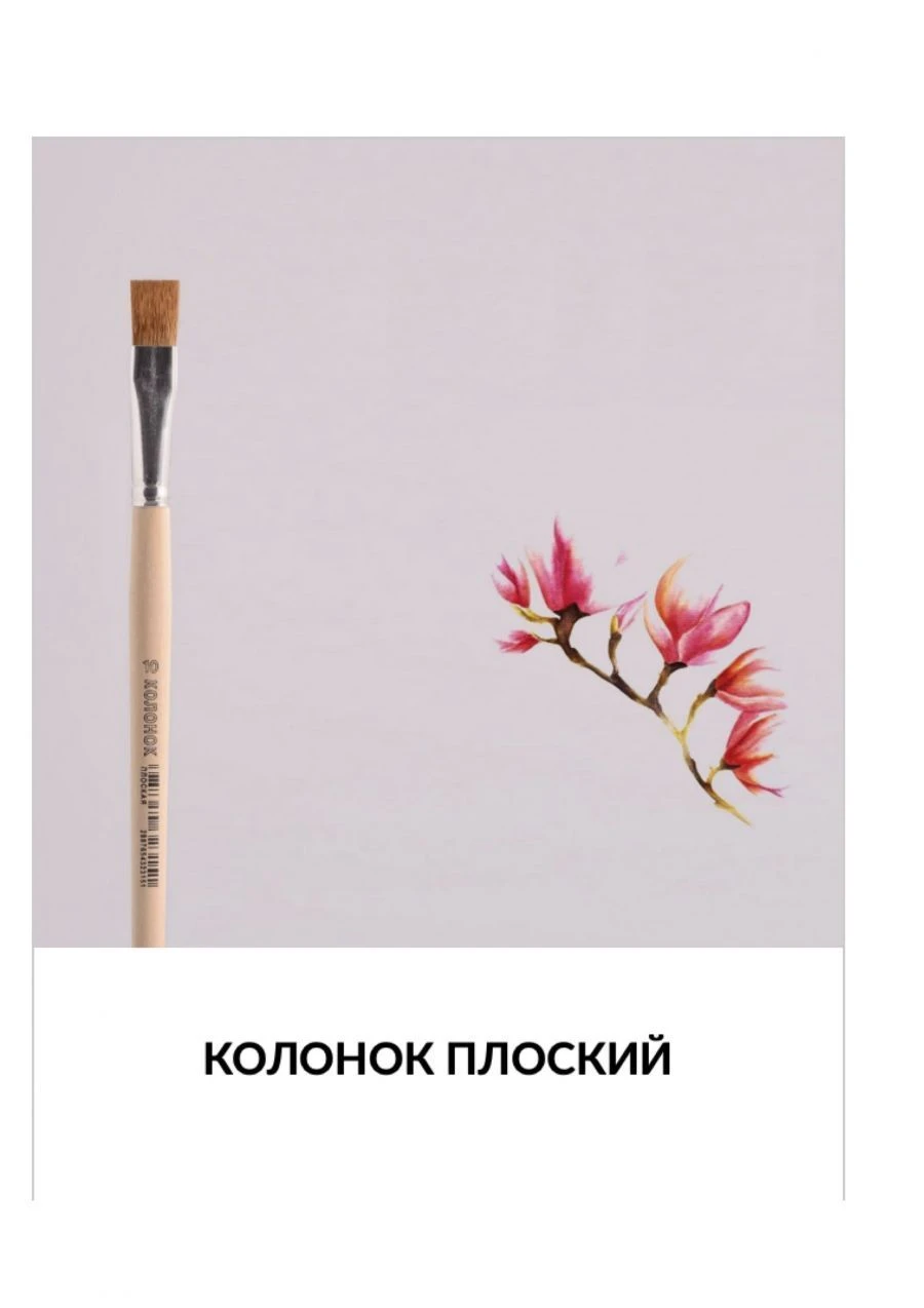 Natural Hair Flat Painting Brush for Artistic Work