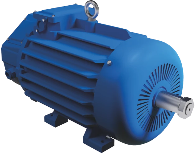 Three-Phase Crane Induction Motor with Phase Rotor 750W to 75kW 4MTM