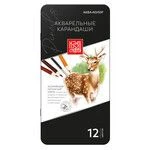 Watercolor Art Pencils Set "Aqua-Color" IZO-WCPM12 2x12 Colors