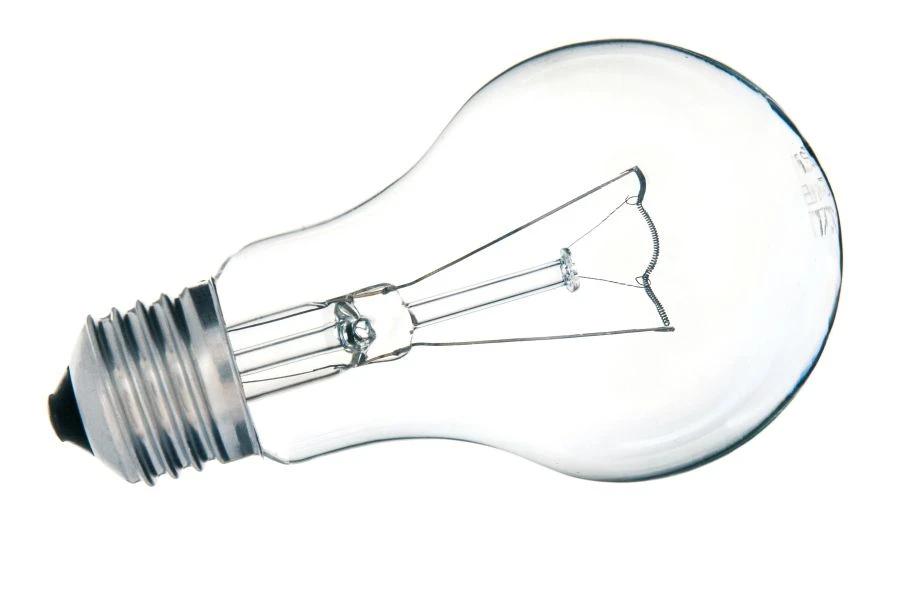 General purpose incandescent lamps B 230-95-1