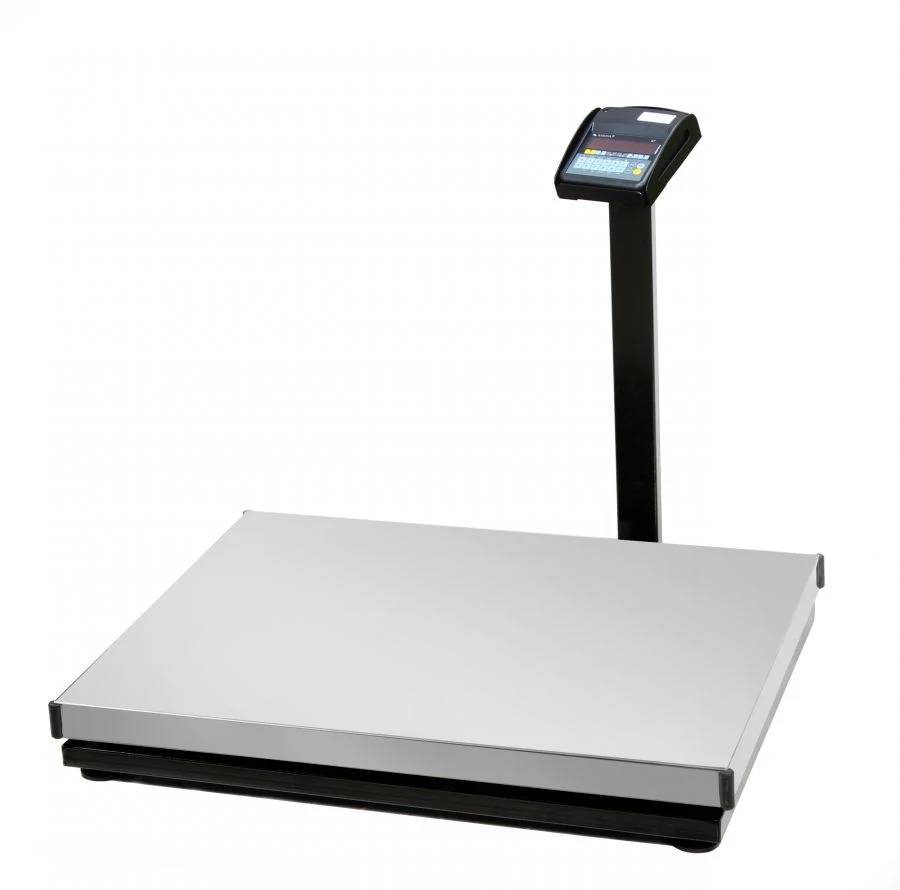 Electronic Scales with Programmable Weighing Limits and Discreteness PVm