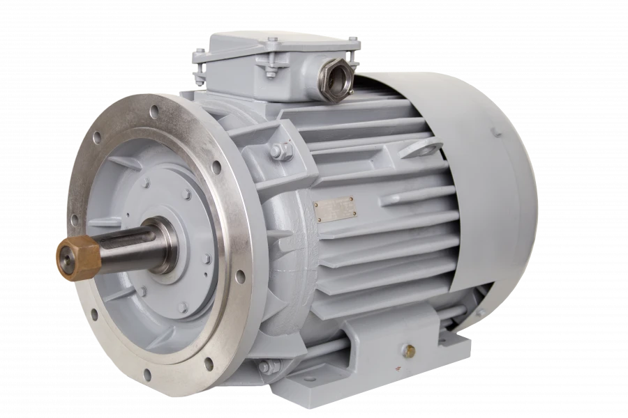DM225 Three-Phase Asynchronous Multi-Speed Motor