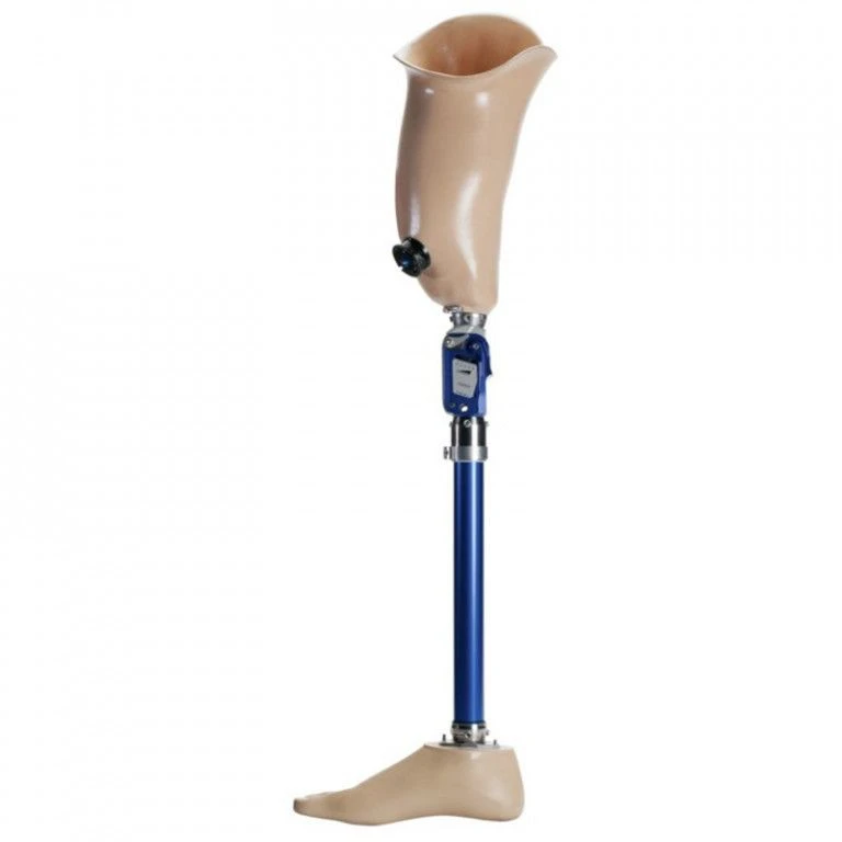 طرف صناعي للفخذ للسباحة 8-07-05