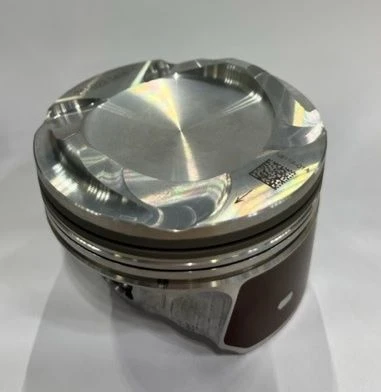 مجموعة المكبس لمحرك الاحتراق الداخلي 1004011AEB05