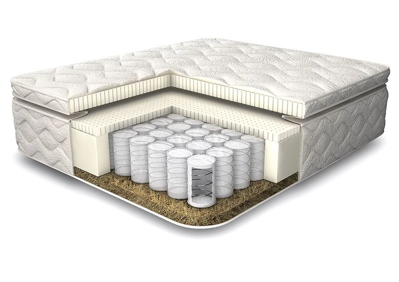 مرتبة أناتومية بريميوم سلطان